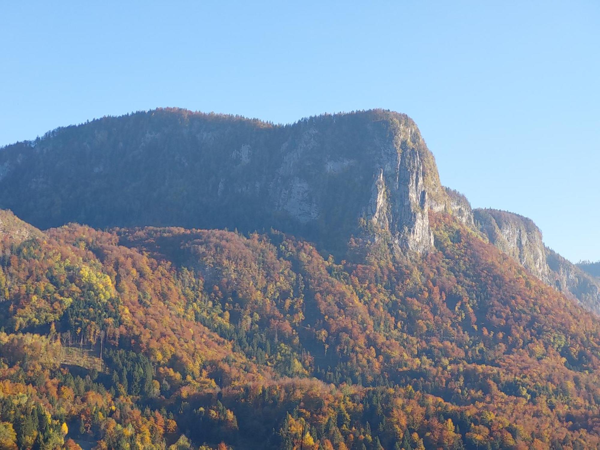 Apartmaji Pr'Pisk Bohinjska Bela Exterior foto